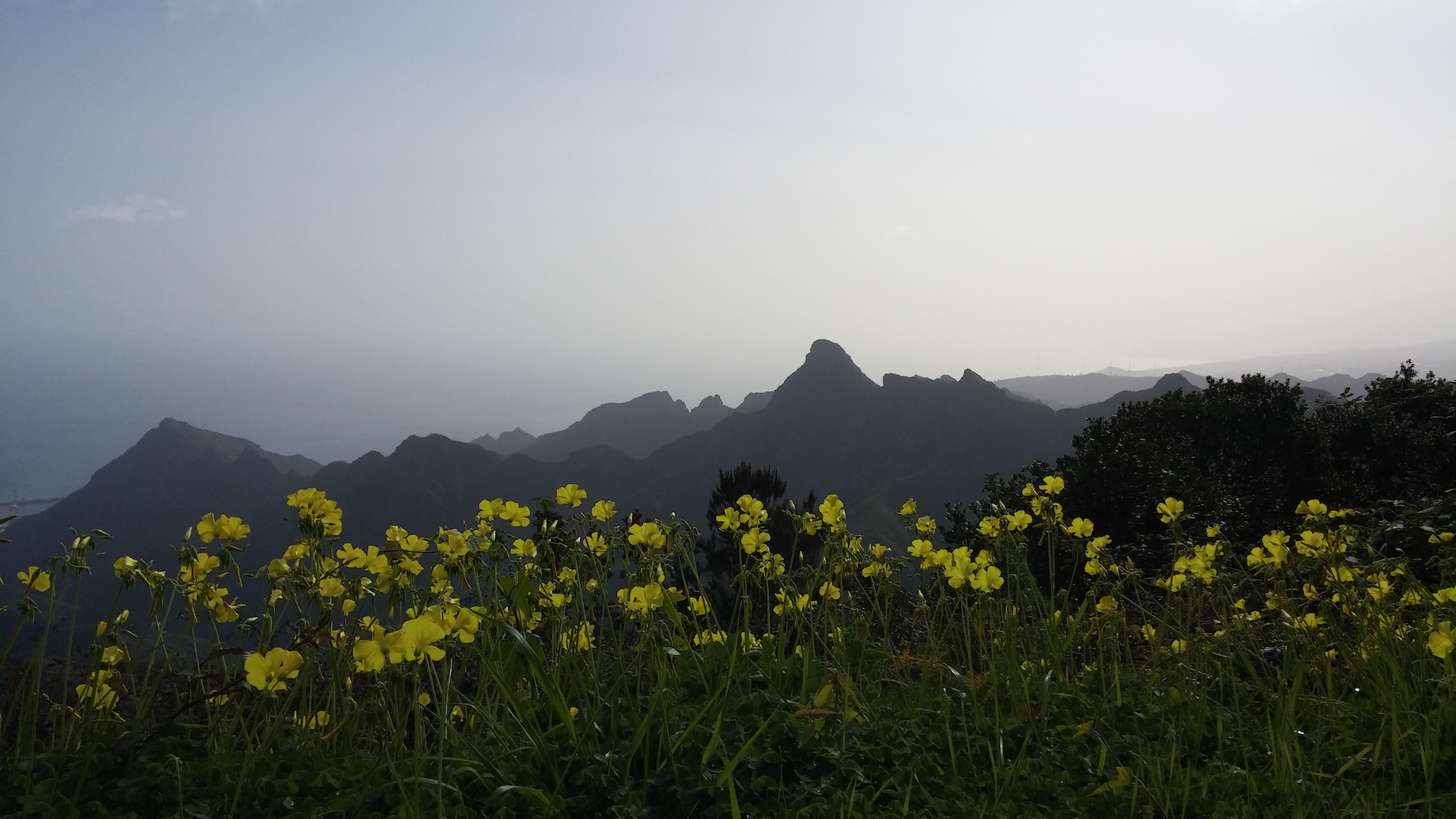 Landschaft